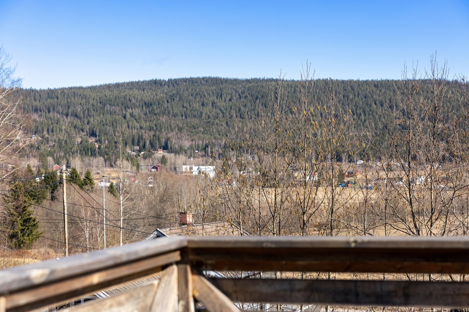 Utsikt fra terrassen. Galleribilde