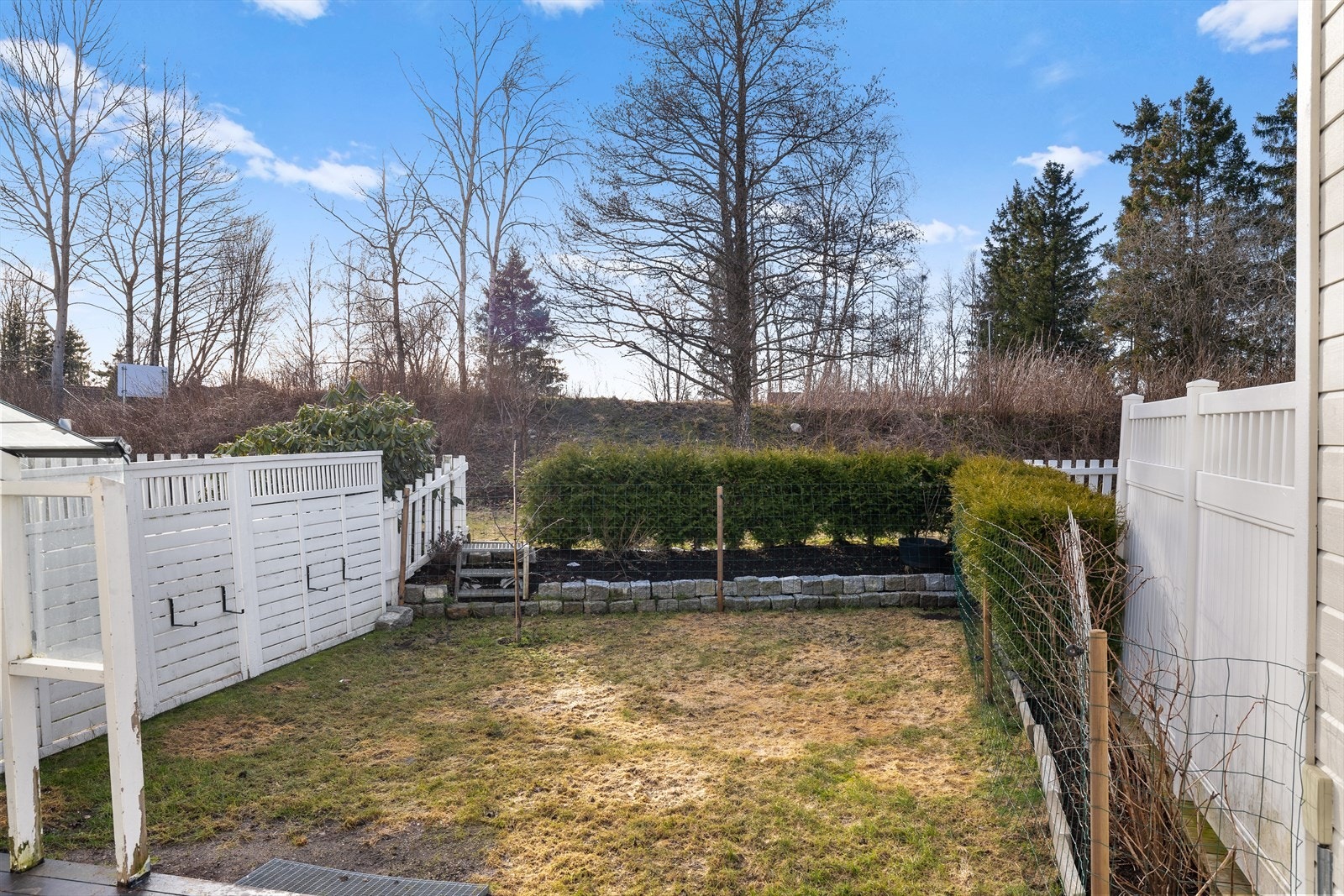 Privat hage med gressplen og levegger gir skjermet uteplass. Galleribilde