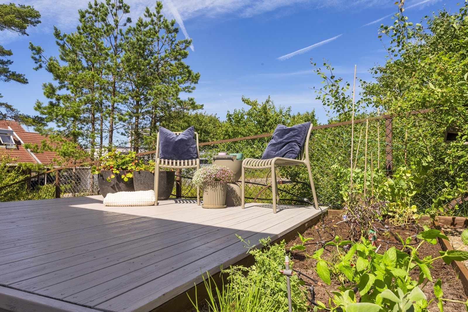 Skjermet uteplass på baksiden. Galleribilde