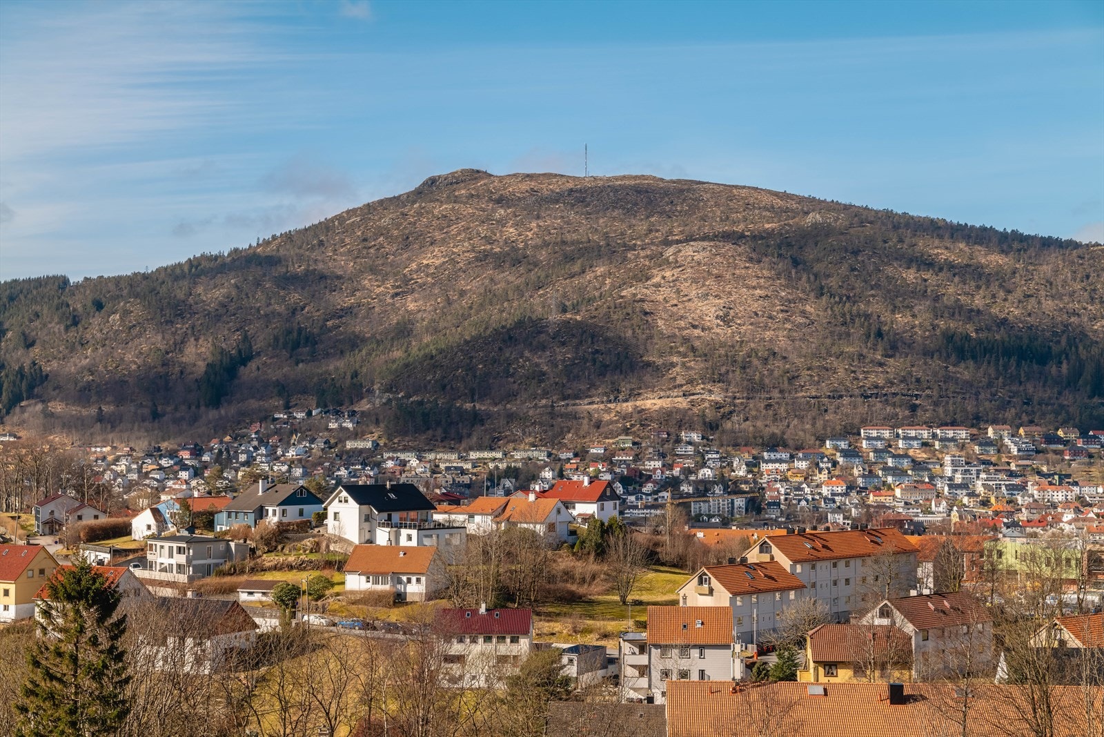 Utsikt mot vest Galleribilde