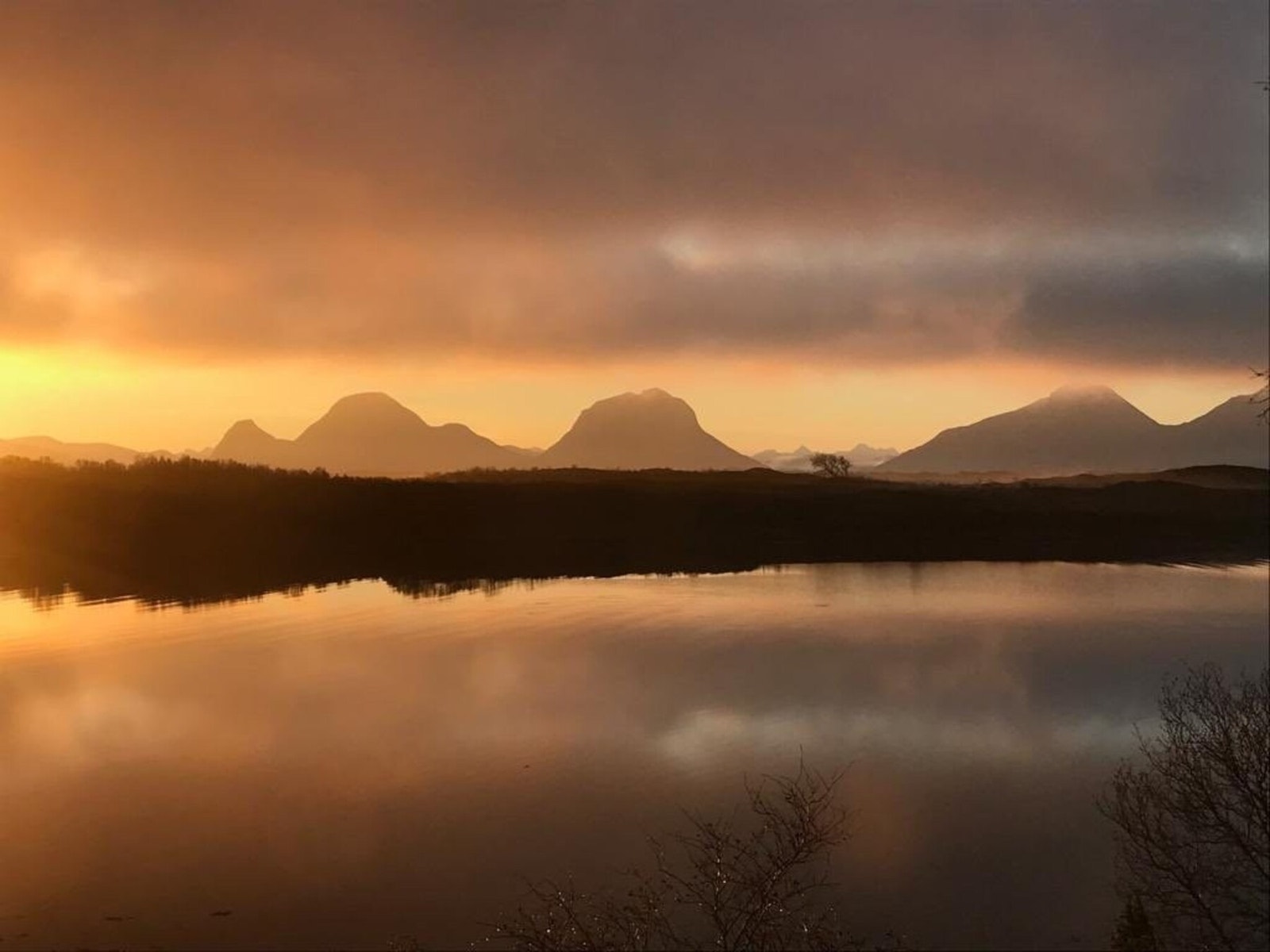 Selgers eget bilde Galleribilde