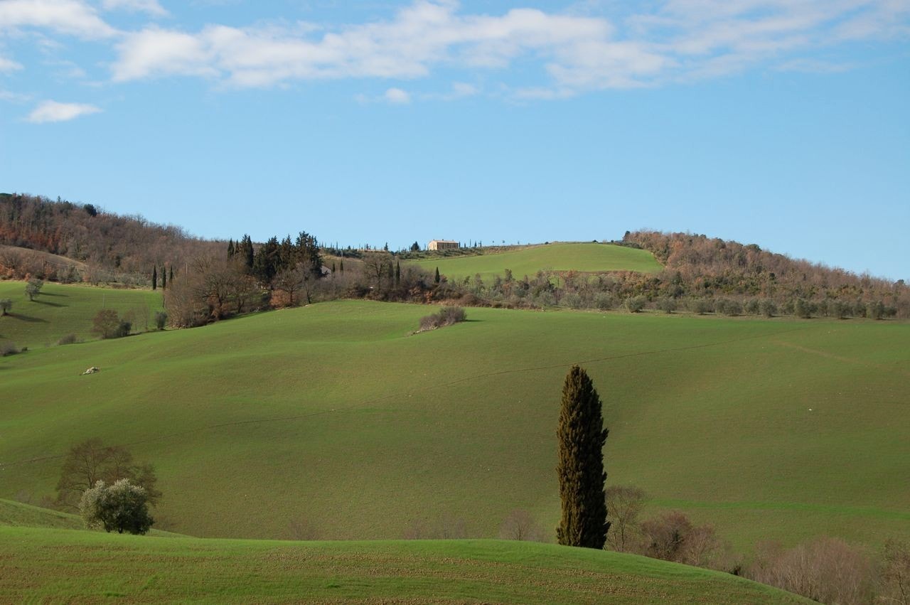 Siena og Volterra distrikt Galleribilde