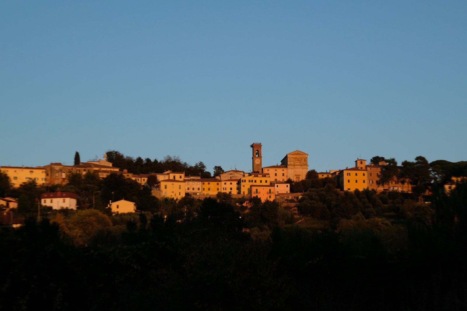 Lari Galleribilde