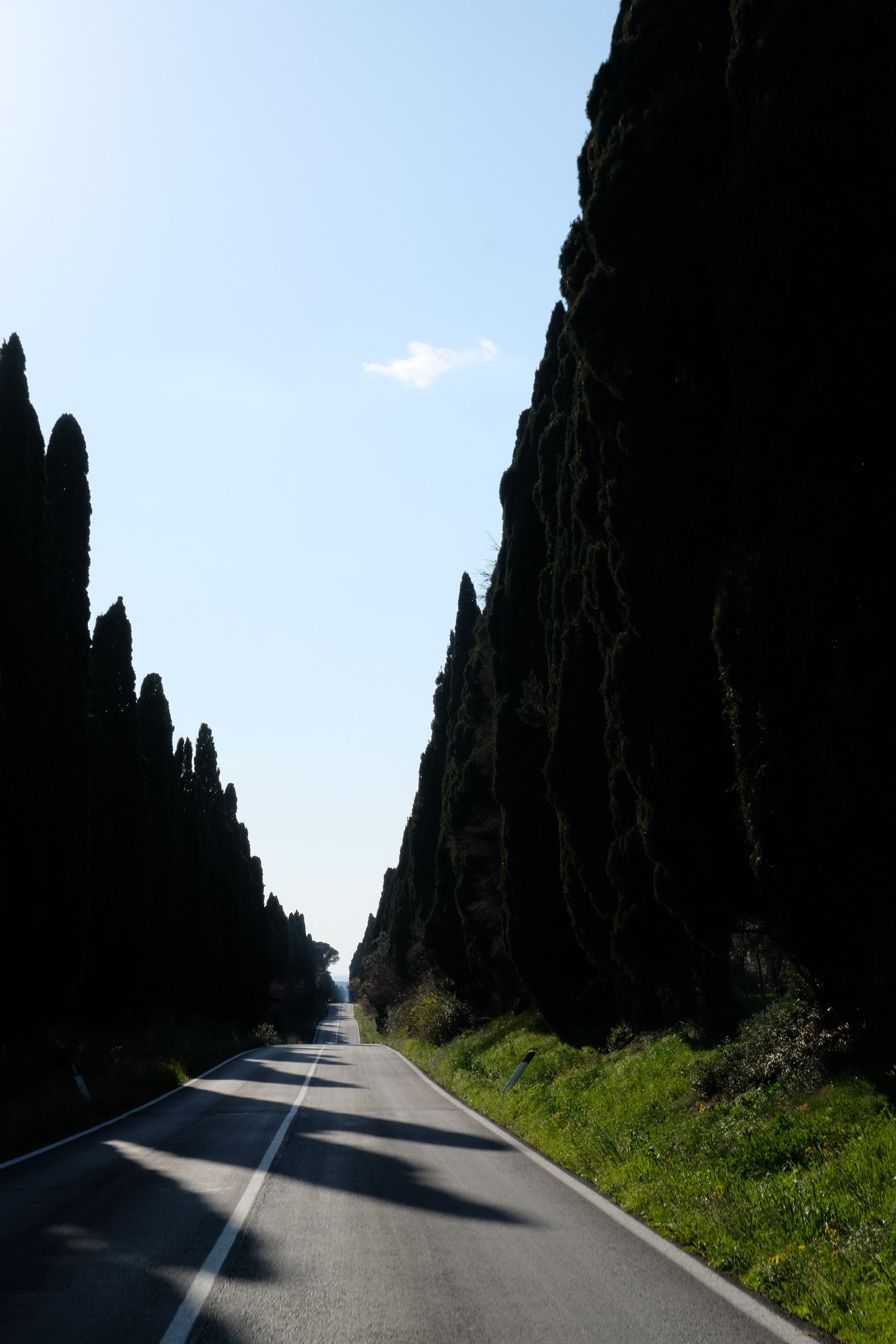 Bolgheri Galleribilde