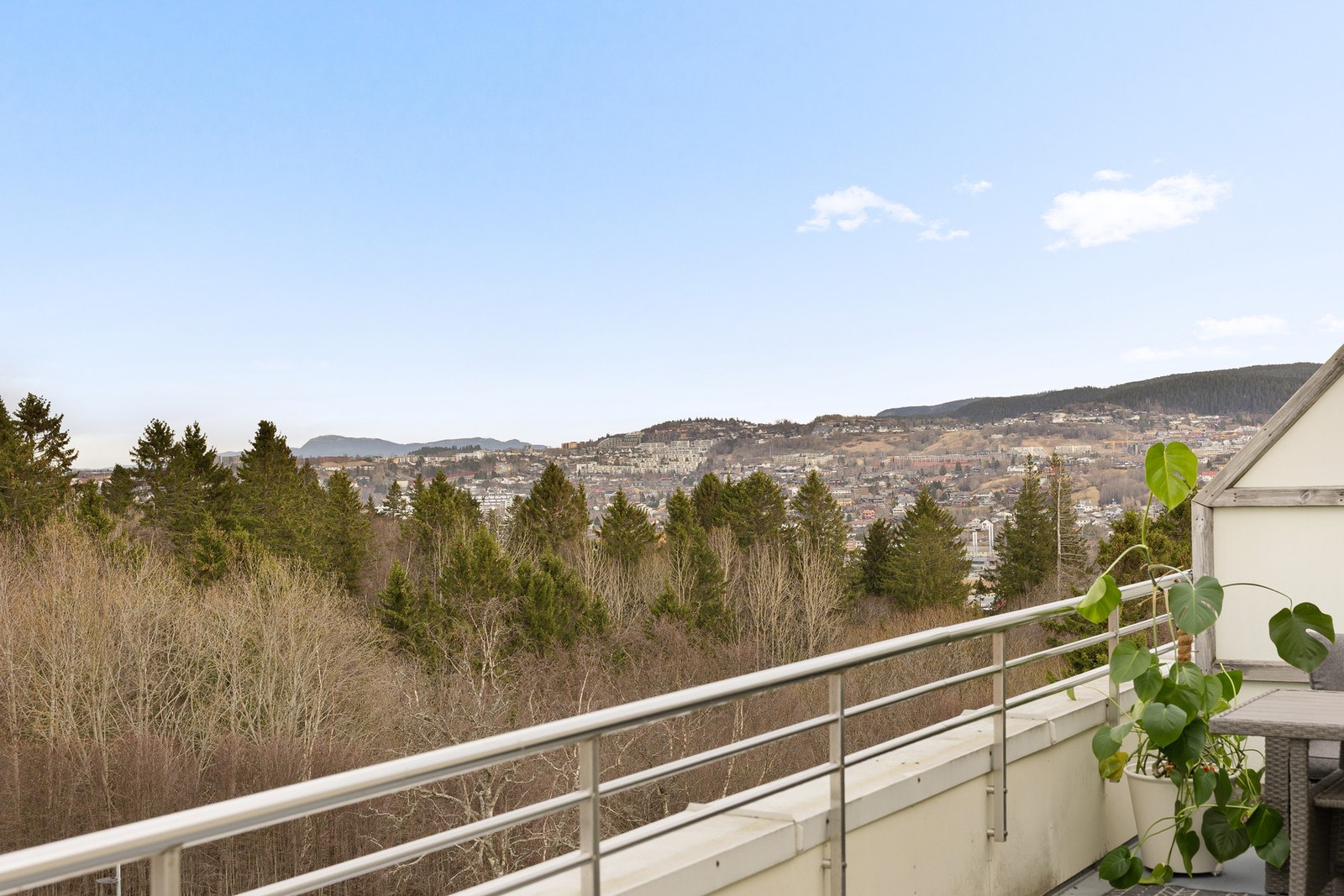 Nydelig utsikt. Galleribilde