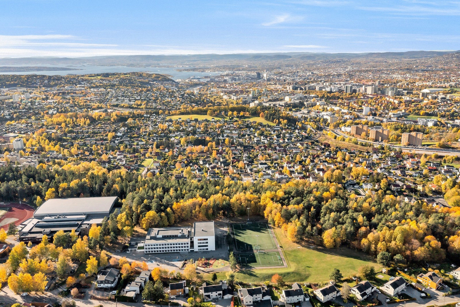 Godlia skogen Galleribilde