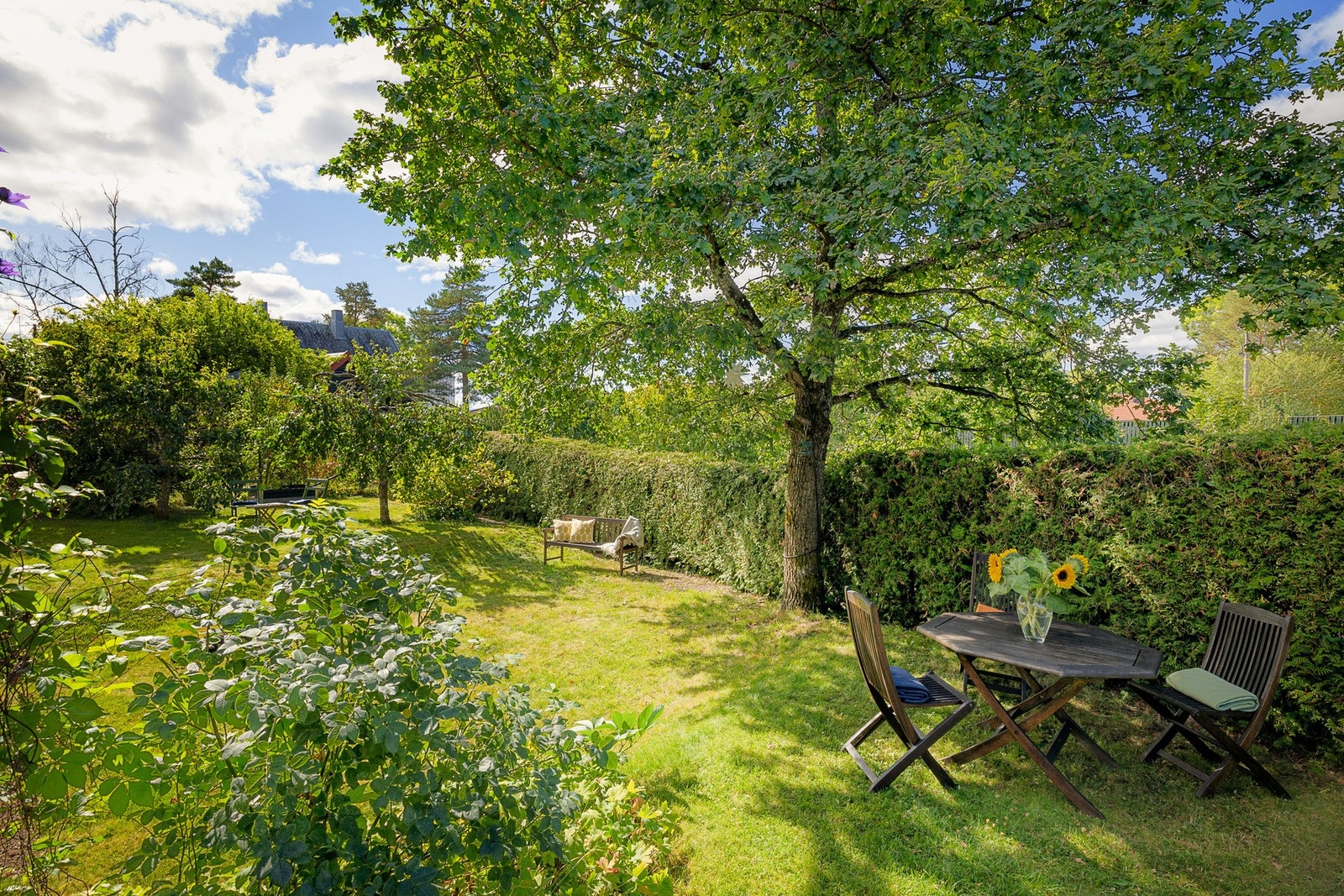 God boltreplass og lekevennlige omgivelser. Galleribilde