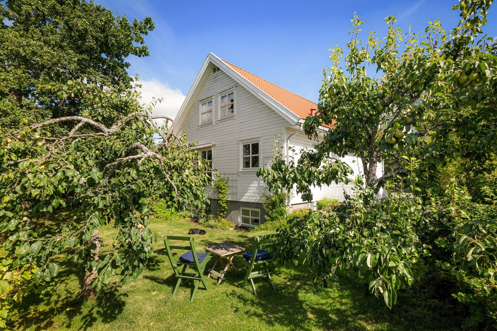 Boligen omkranses av en idyllisk hage med store frukttrær. Galleribilde
