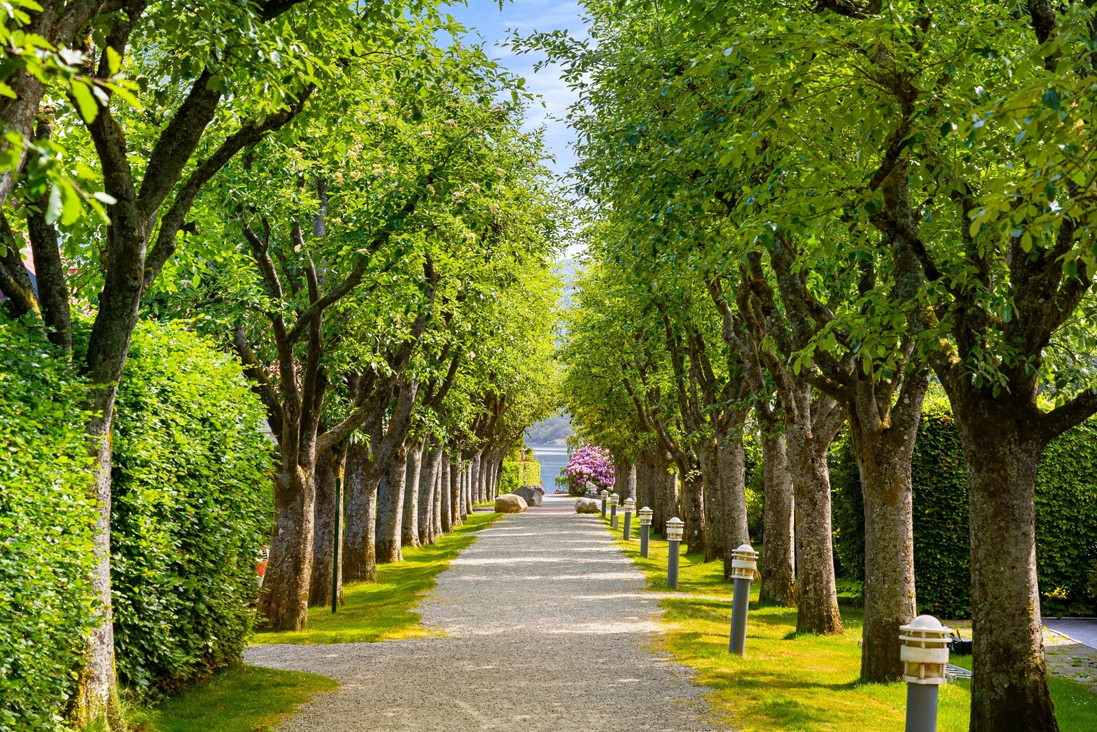 Velkommen til visning. Galleribilde