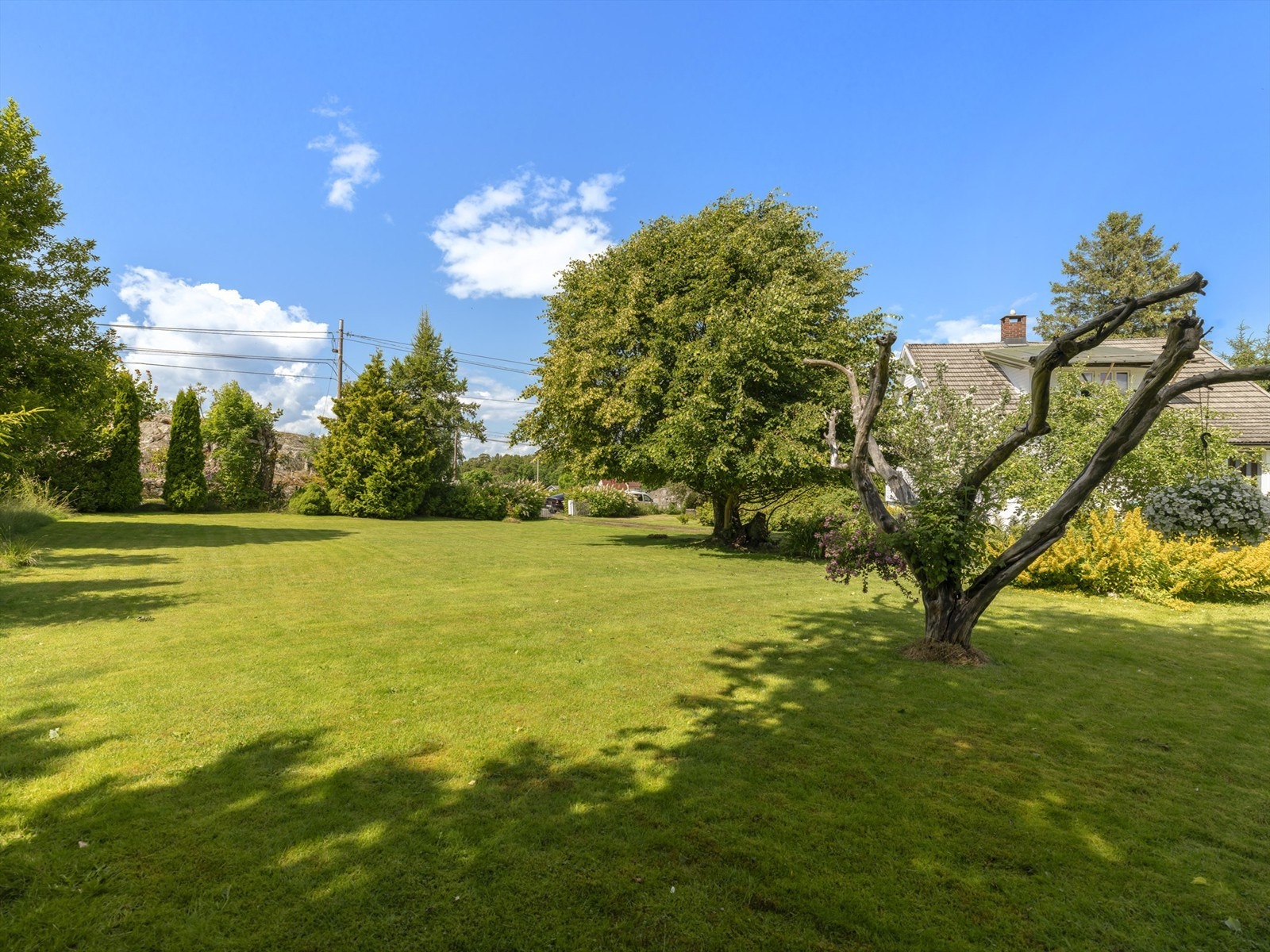 De meget gode solforholdene gir et godt grunnlag for etablering av kjøkkenhage - plass er det nok av. Galleribilde