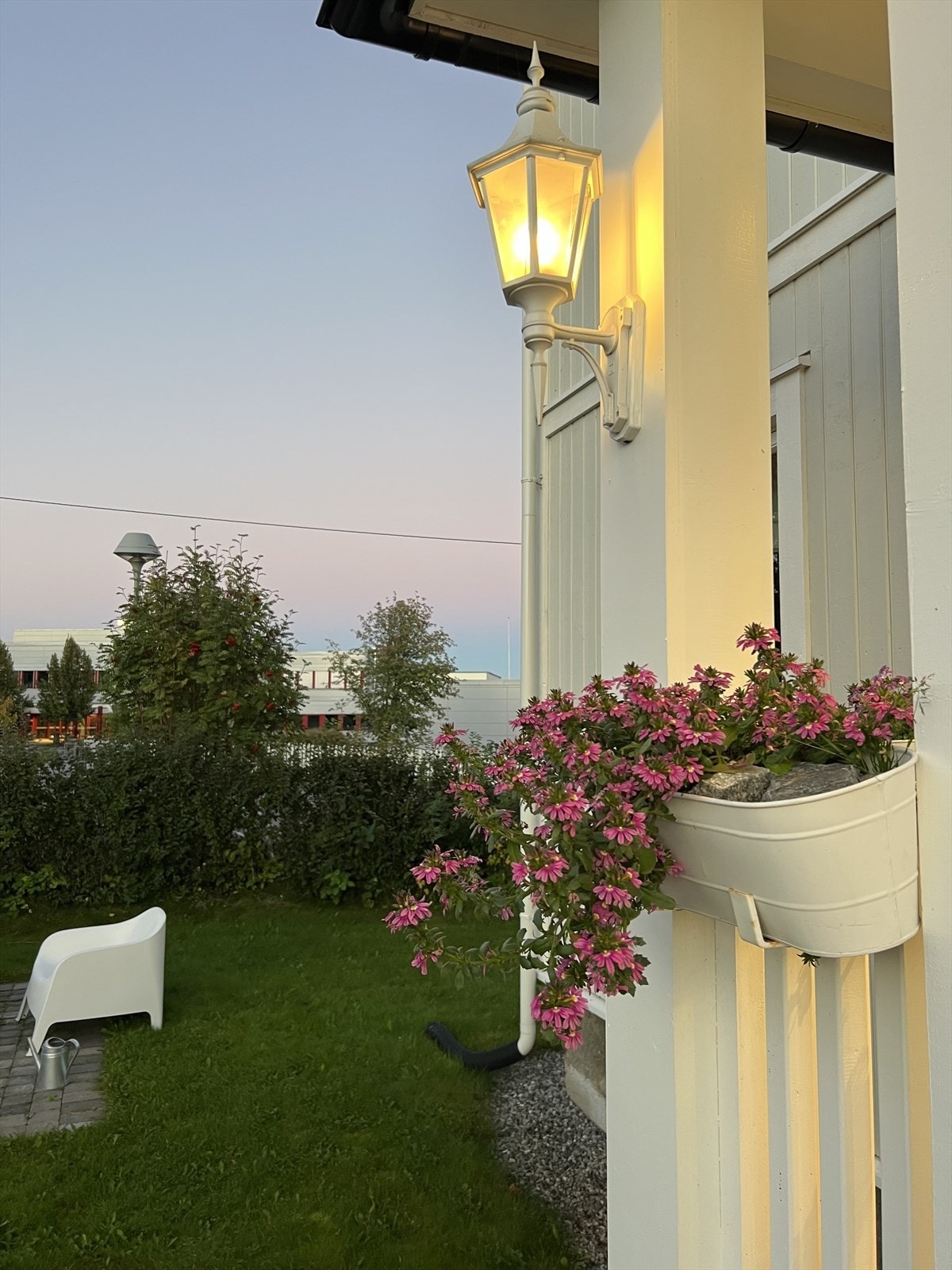 Selgers private sommerbilde. Galleribilde