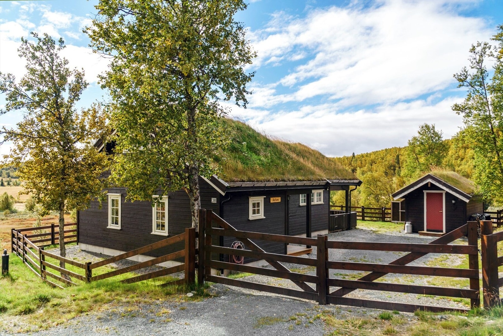 Idyllisk sommer som vinter Galleribilde