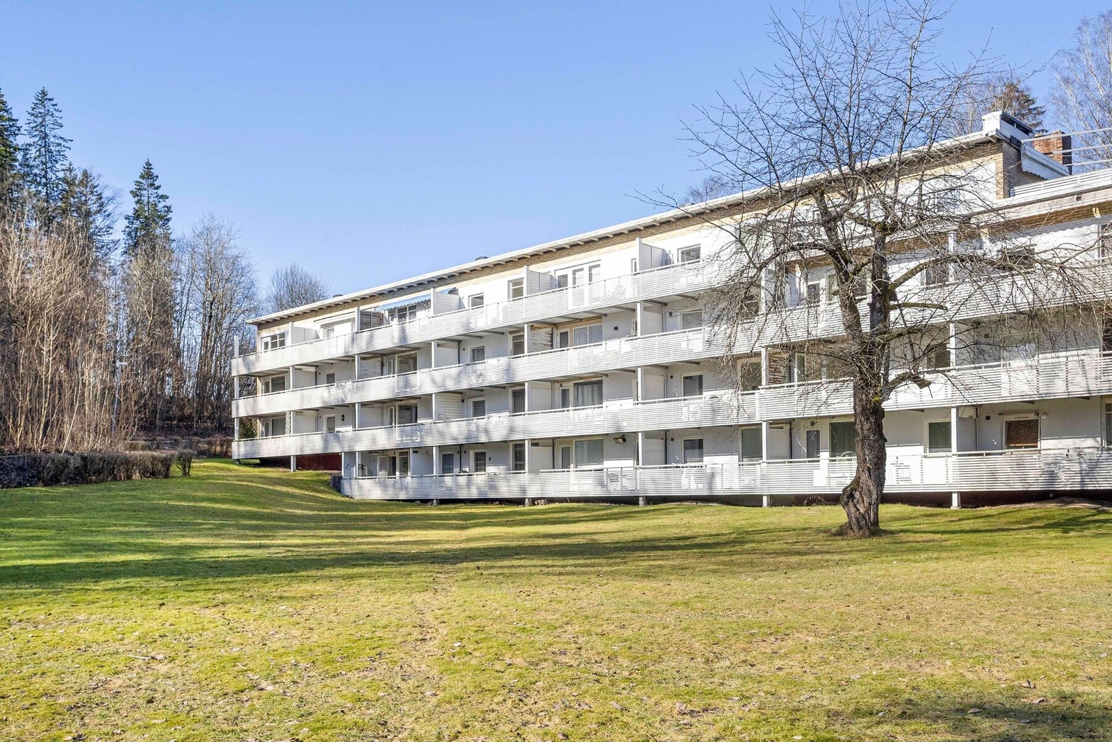 Sameiet har felles tomteareal opparbeidet med blant annet asfalterte internveier, sittebenker, plenarealer og diverse beplantning. Galleribilde