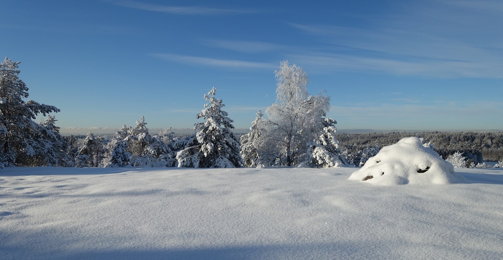 Vinterbilde, Varden Galleribilde