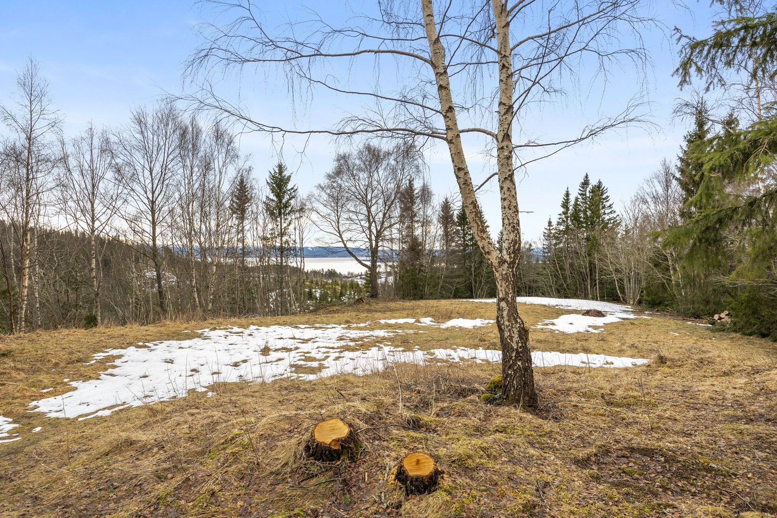 Utsikt fra uteplassen Galleribilde