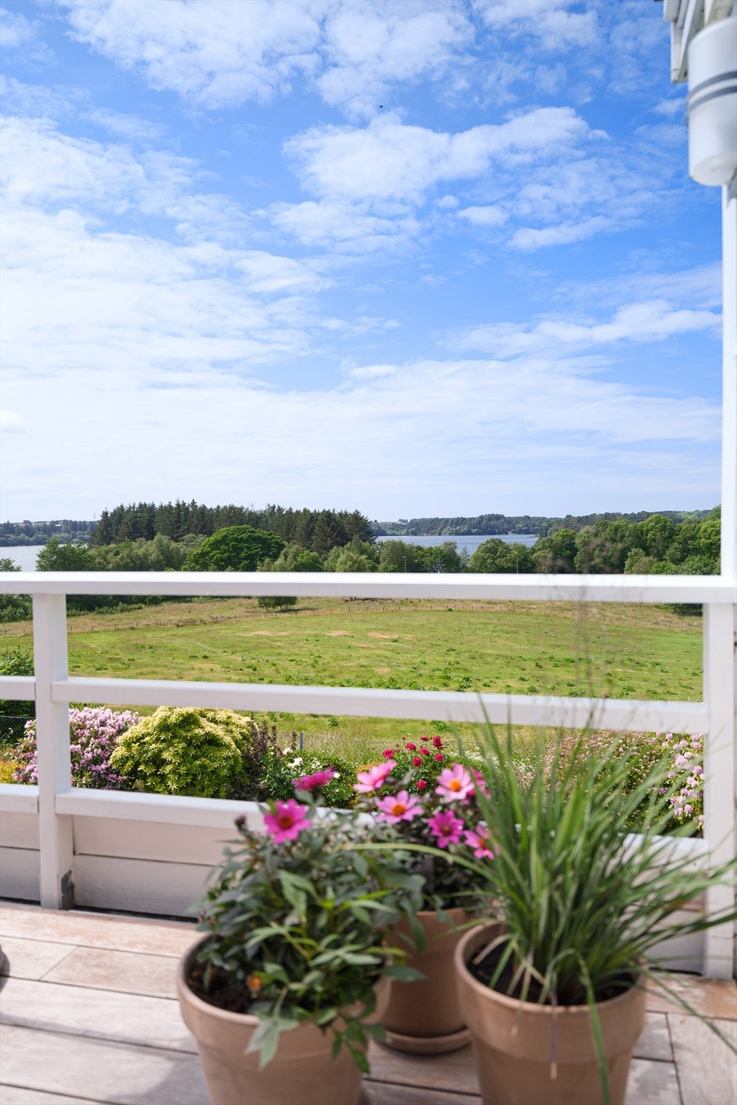 DSCF2270 Galleribilde