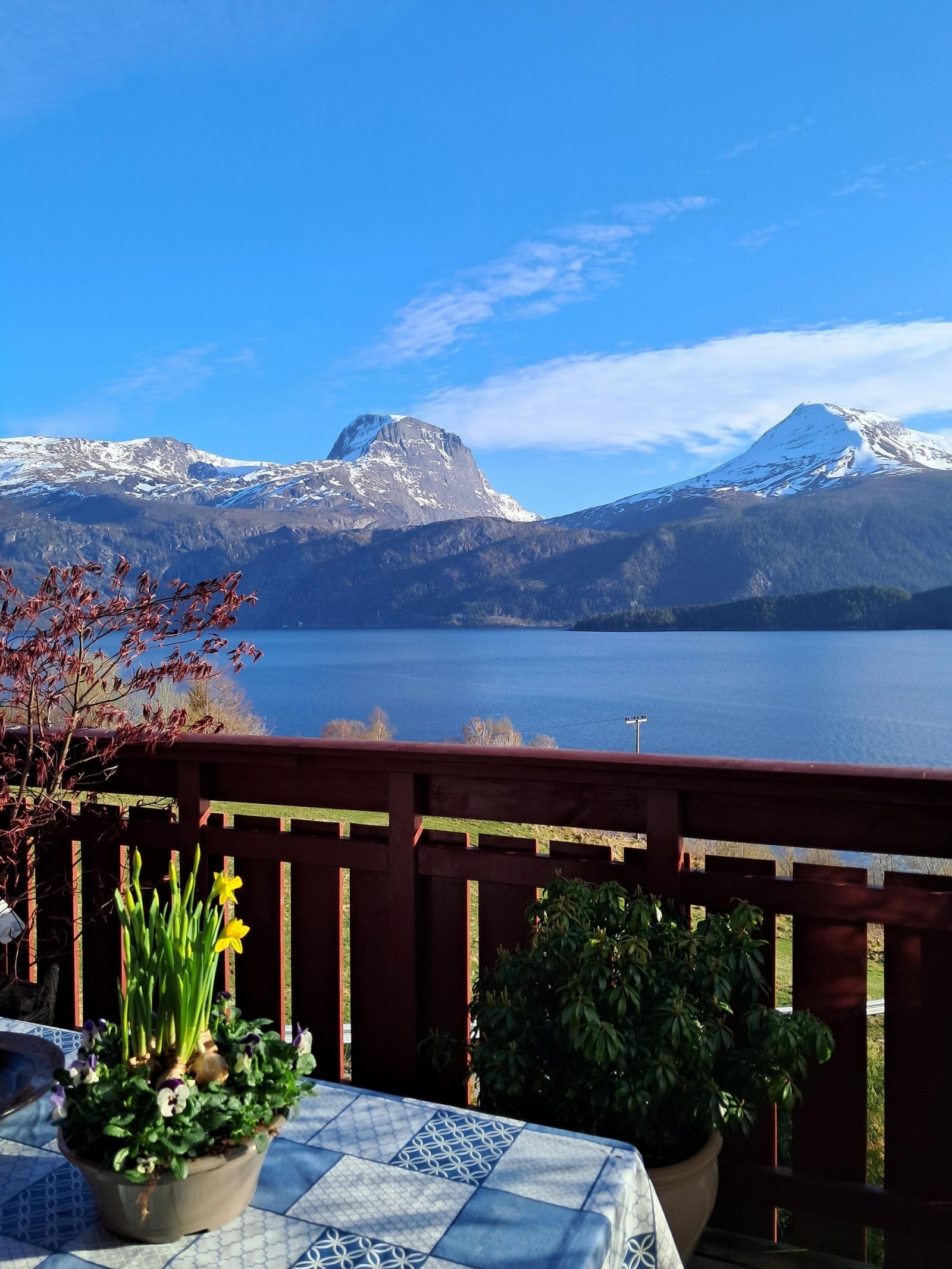 Her kan en nyte morgenkaffen i nydelige omgivelser Galleribilde