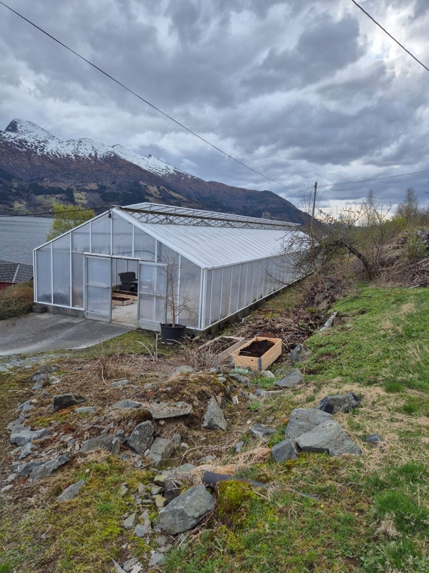 Drivhuset er 215kvm med støpt gulv og mulighet for å kjøre inn med traktor Galleribilde