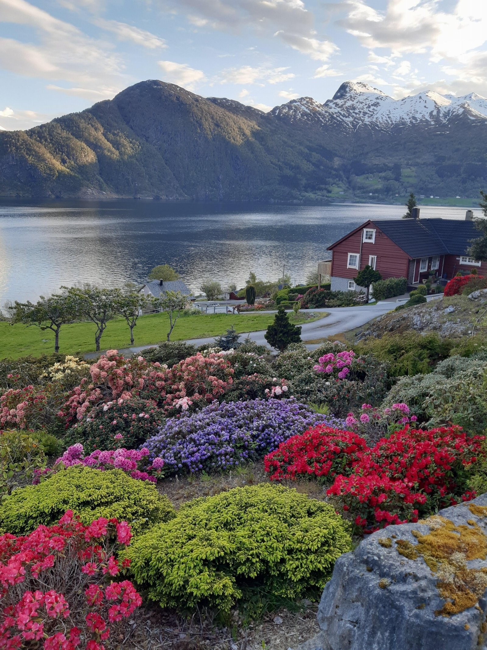Den idylliske naturen med sjø, planter og snødekte fjell får du rett utenfor kjøkkenvinduet Galleribilde