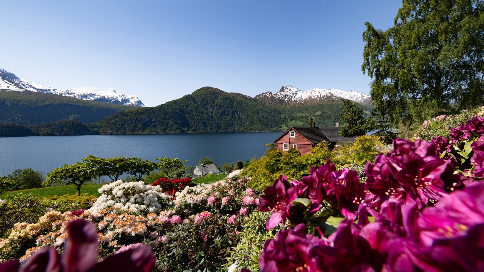 Velkommen til fantastiske Torheim- en sjelden perle like utenfor Nordfjordeid Galleribilde