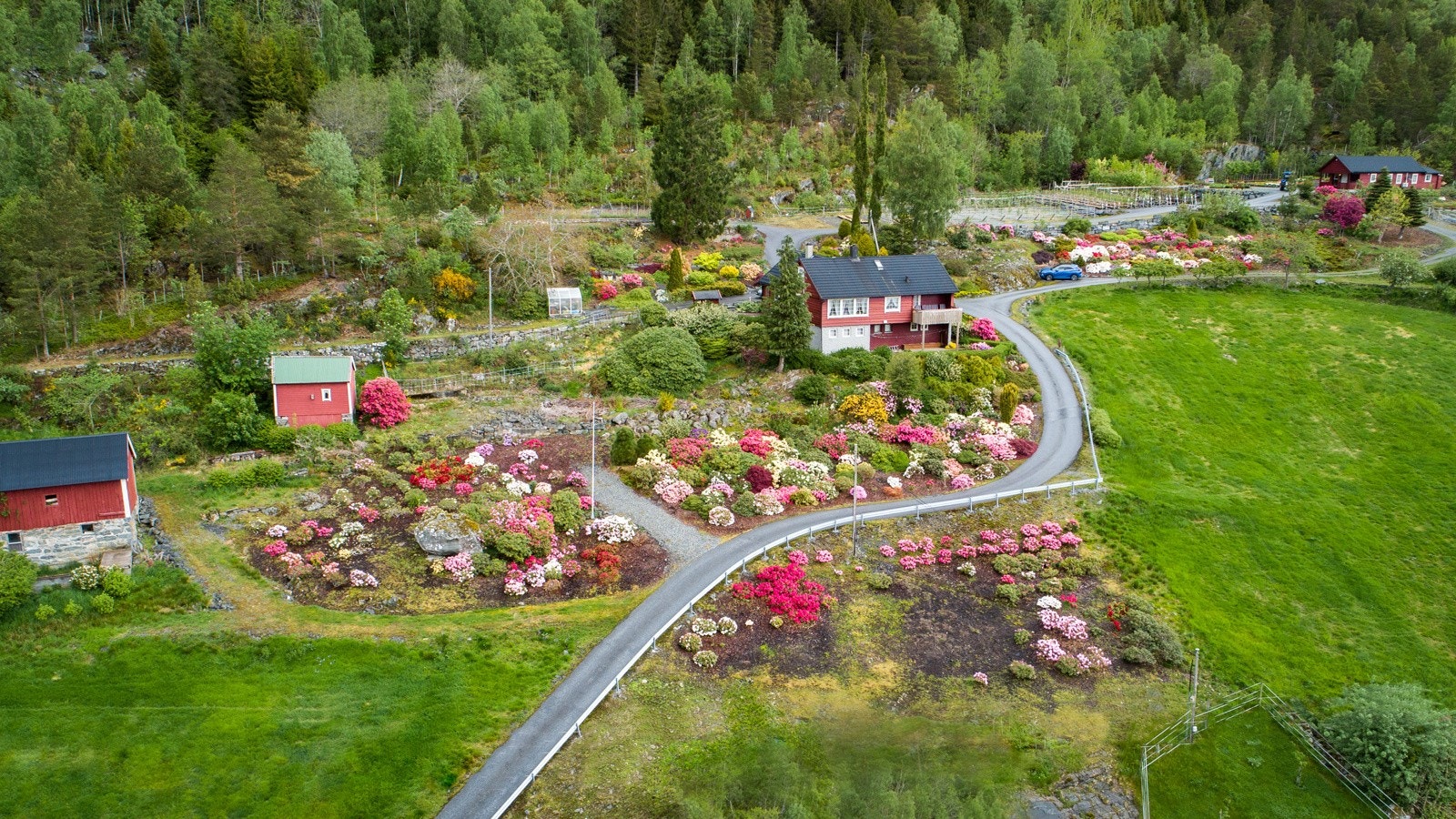 Eiendommen ligger solrikt og lunt til, perfekt for fruktrær og beplantning Galleribilde
