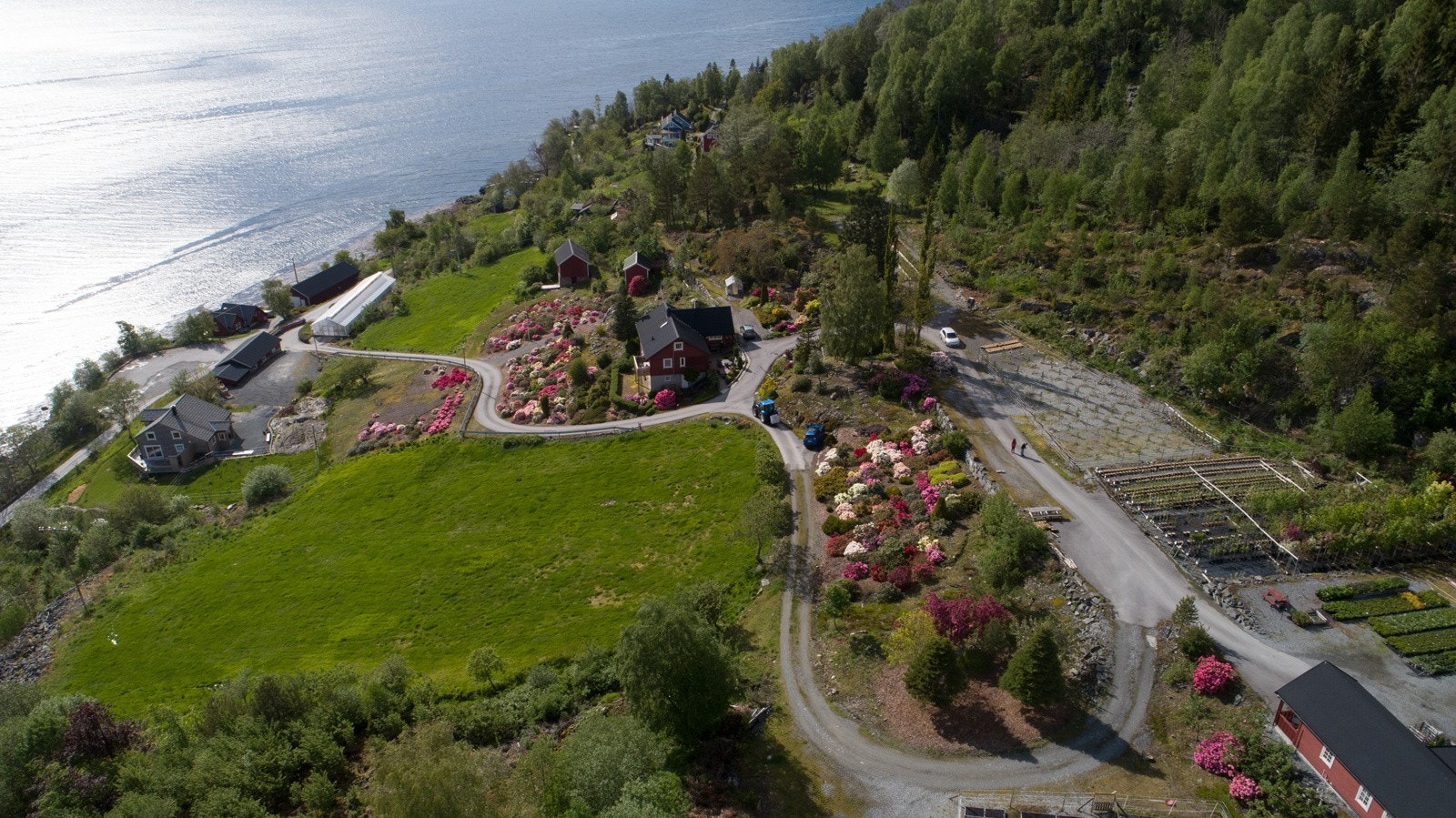 På eiendommen er det plantet ca 600 rhododendron og ca 100 fruktrær Galleribilde