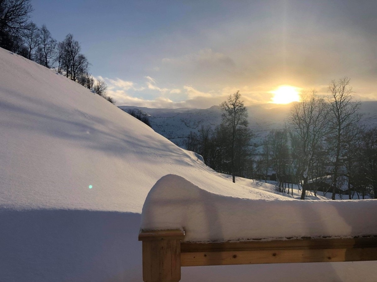 Selger sitt bilde. Galleribilde