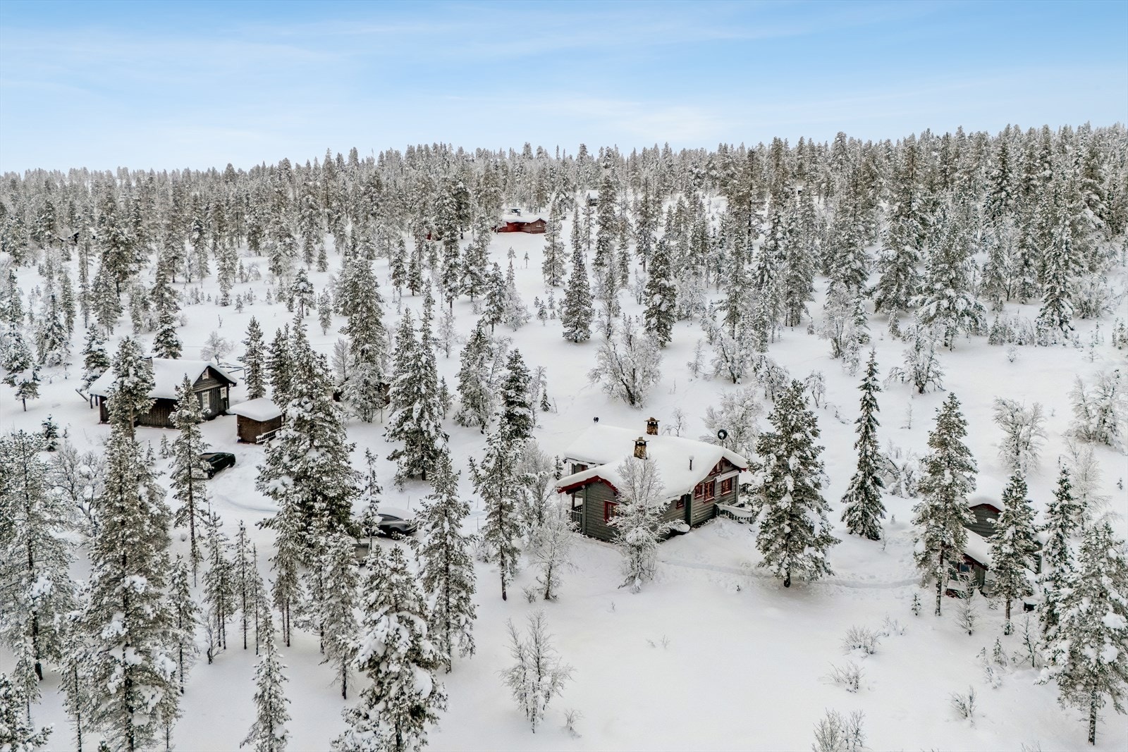 Velkommen til en hyggelig visning! Galleribilde