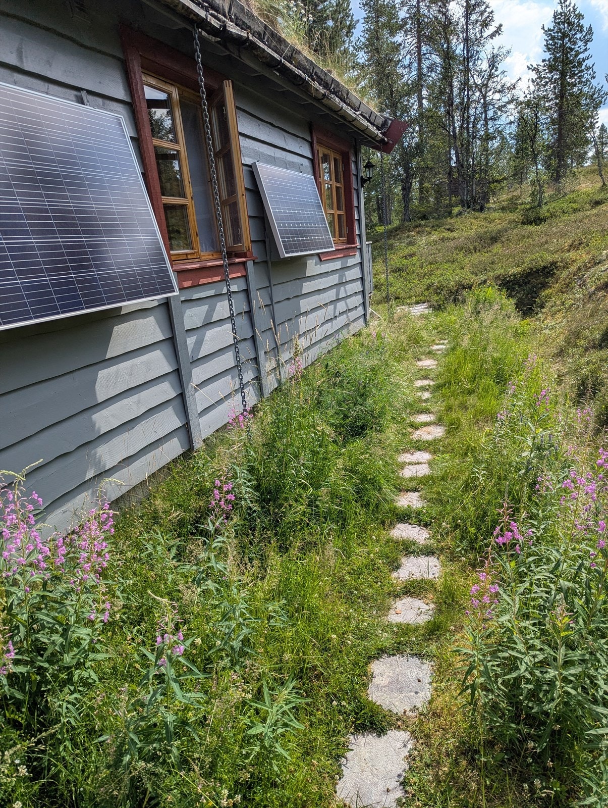 Solcellepaneler på veggen forsyner hytta med svakstrøm. Selgers foto. Galleribilde