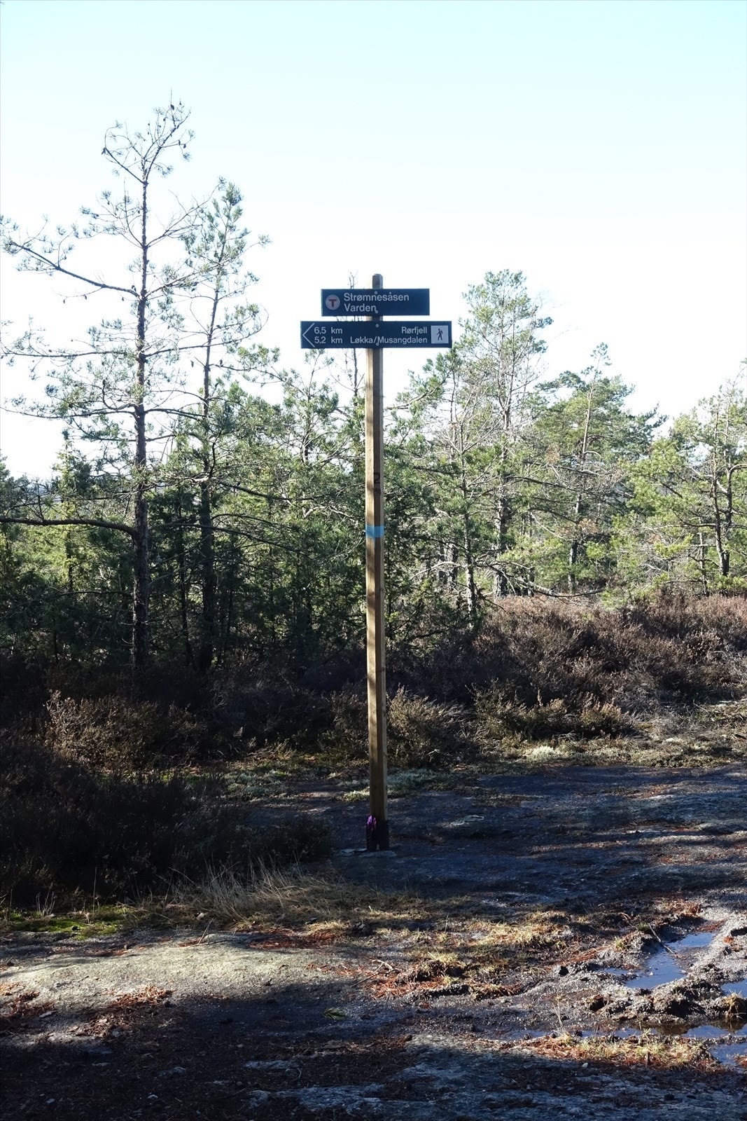 Merkede turstier. Galleribilde
