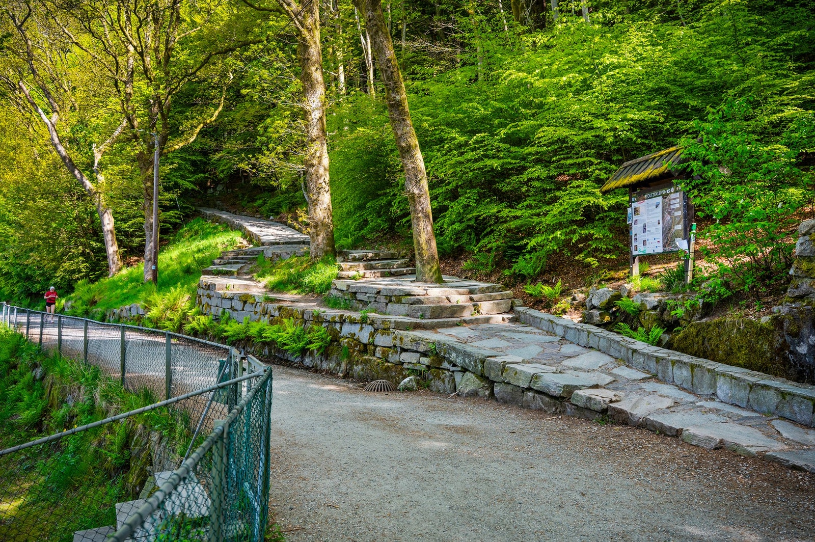 Nabolagets mest brukte bakke Galleribilde