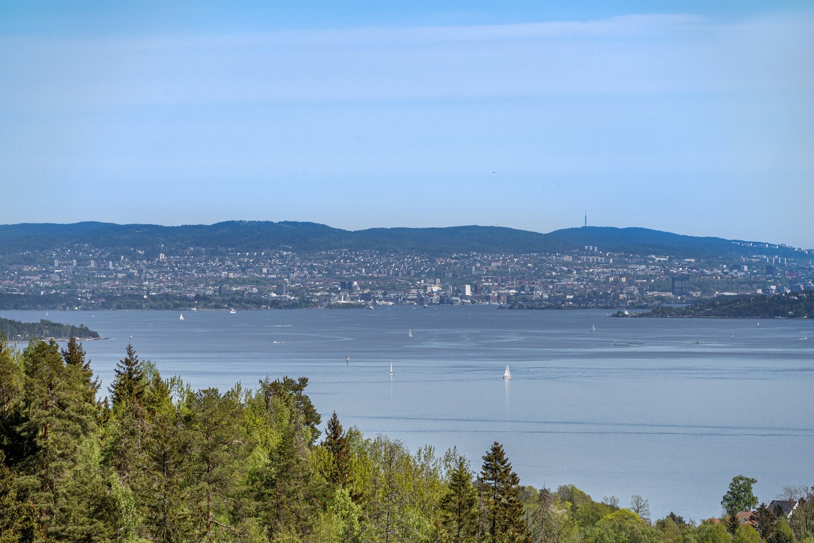 Høyt og fritt! Galleribilde