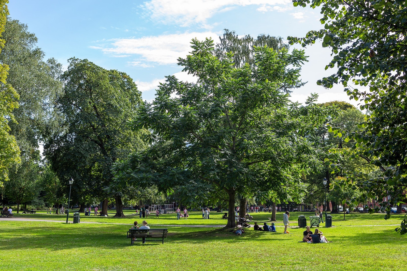 Sofienbergparken Galleribilde