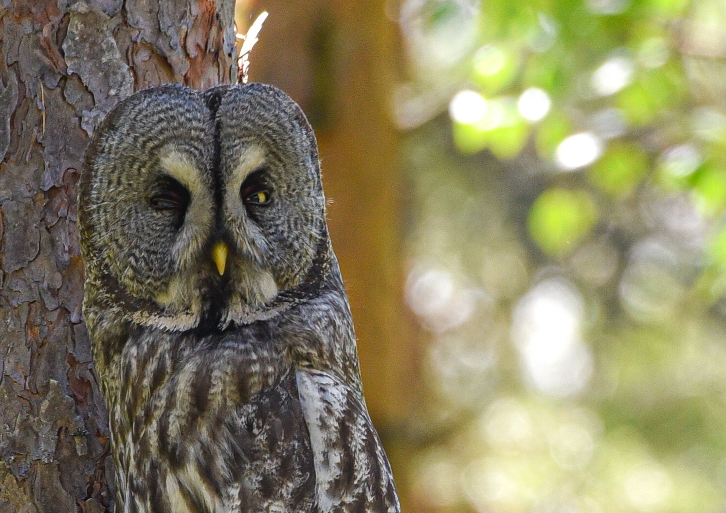 Har DU lyst til å bli min nye nabo? Meld deg på en hyggelig visning da vel - jeg gleder meg til å se deg ;-) Galleribilde