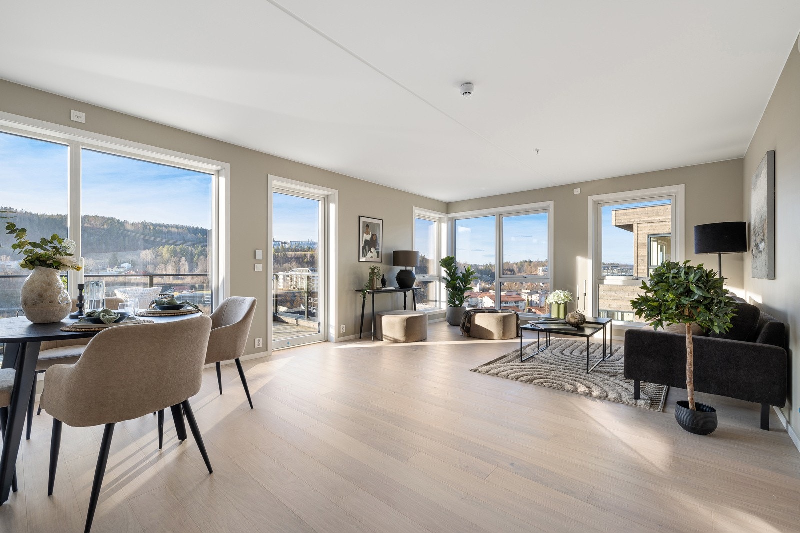 Lys stue med masse av vinduer Galleribilde