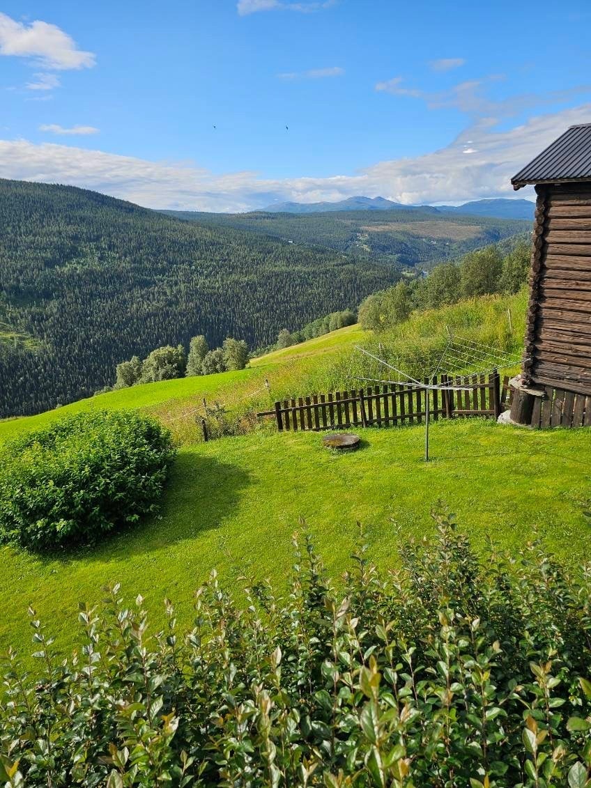 Uteområdet har rikelig med boltreplass (privat bilde). Galleribilde