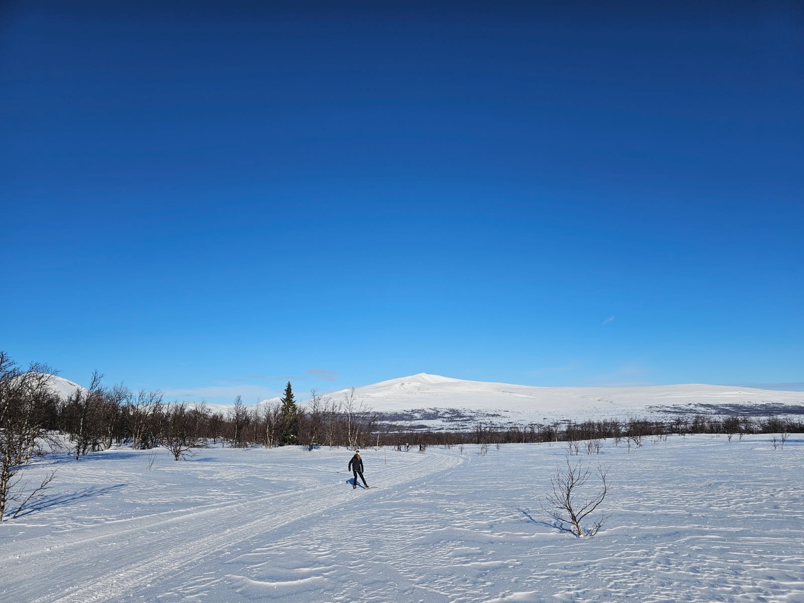 Skåbu og regionen er omgitt av vakker natur både sommer og vinter (privat bilde). Galleribilde