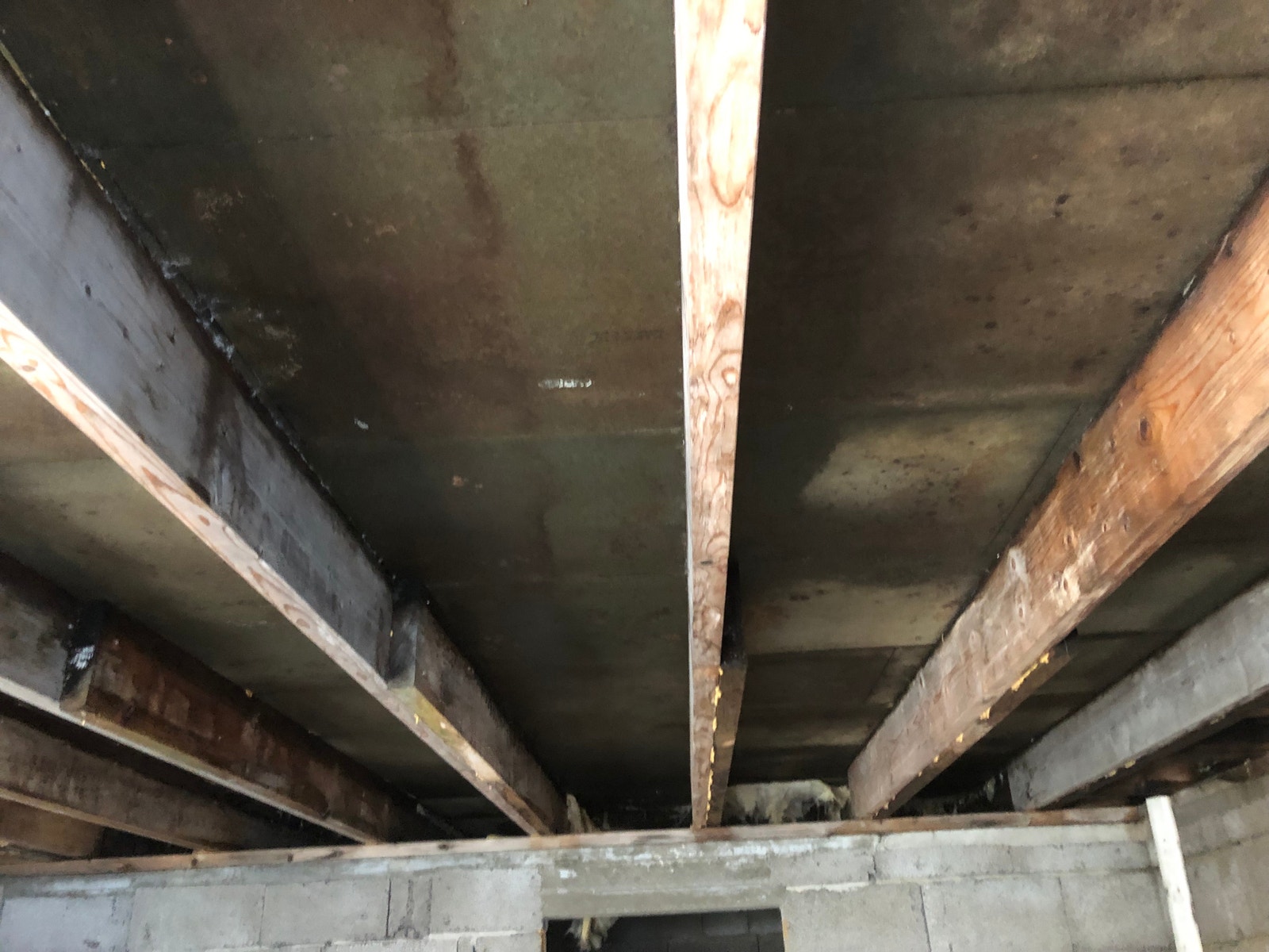 Tilbygg råte i takkonstruksjon. Galleribilde