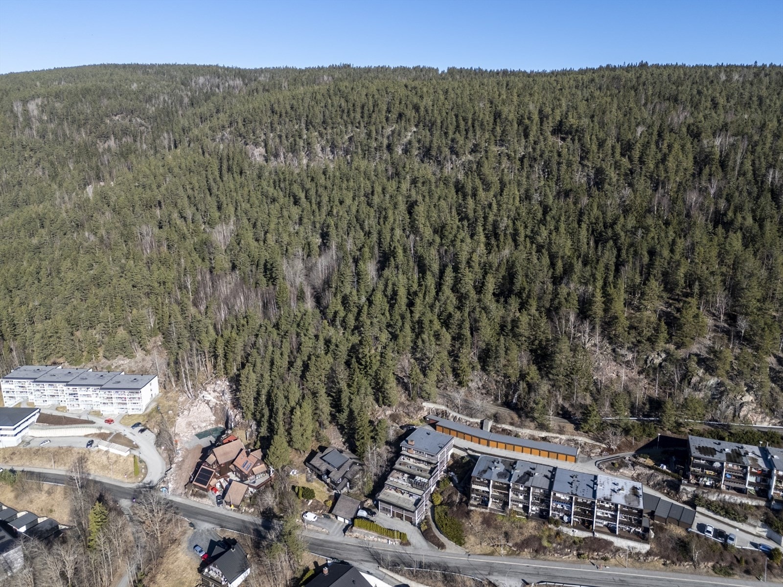 Selgers private bilde. Galleribilde