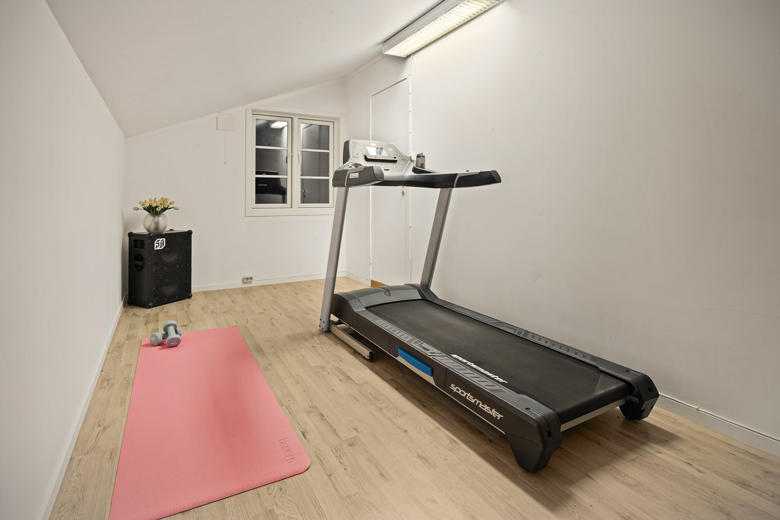 Innredet rom/bod som egner seg godt som treningsrom, hobbyrom eller ekstra lagringsplass. Rommet har egen utgangsdør. Galleribilde