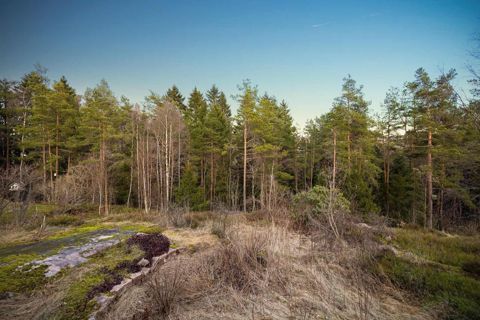 Eiendommen grenser mot friområde med skog og elv på nedsiden. Galleribilde