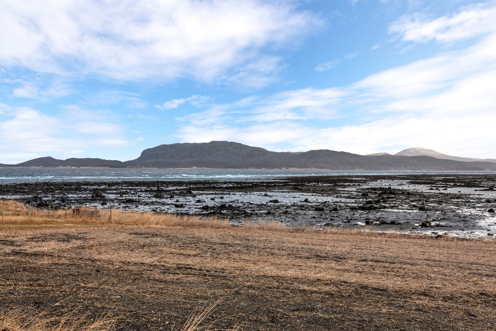 Nærområdet Galleribilde