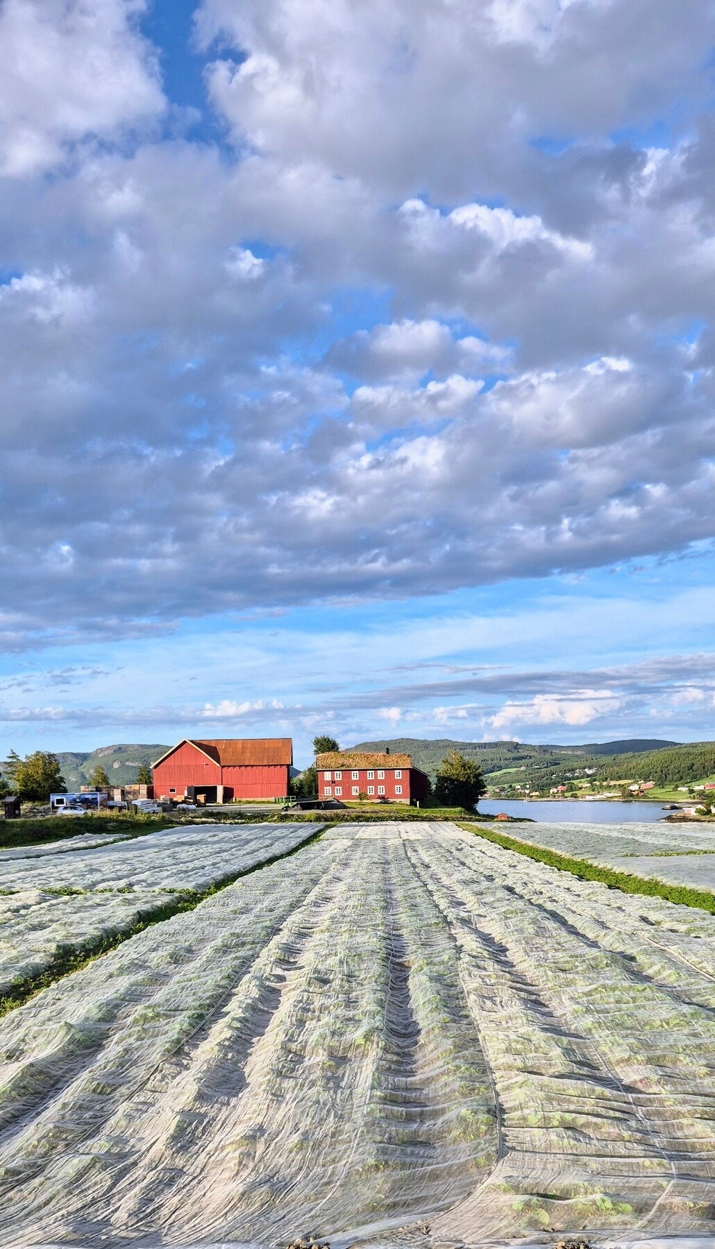 Stemningsbilde tatt av selger. Galleribilde