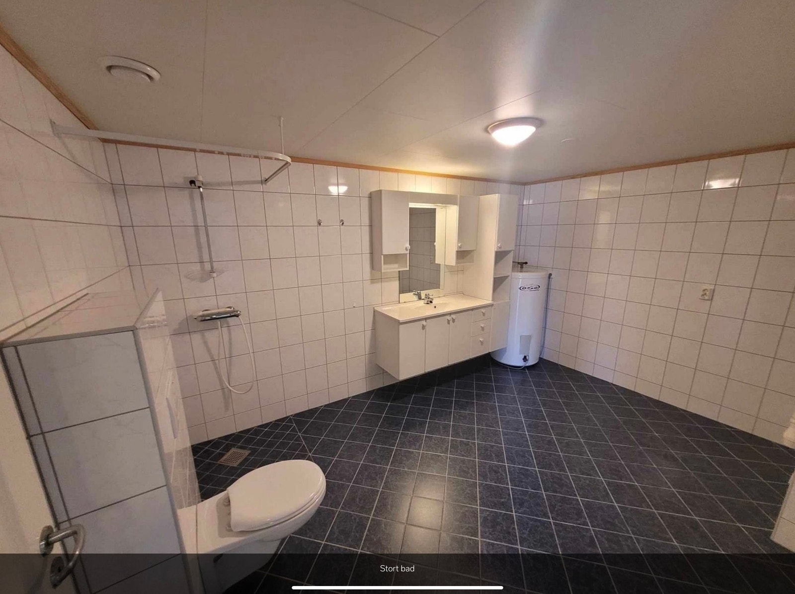 Badet Galleribilde