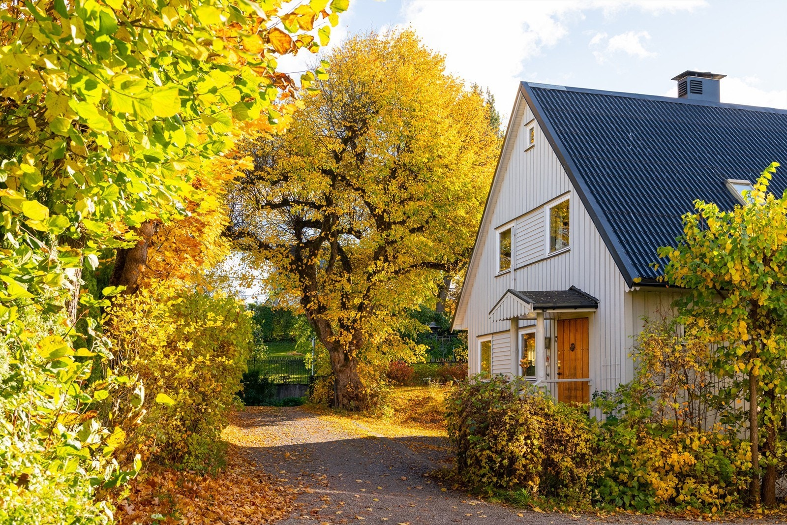 Velkommen til Guldbergs vei 5 B! Presentert av Sara Marie Zachariassen og Therese Ekeli v/ Krogsveen Eiendomsmegling. Foto: Chris Borowiak. Galleribilde