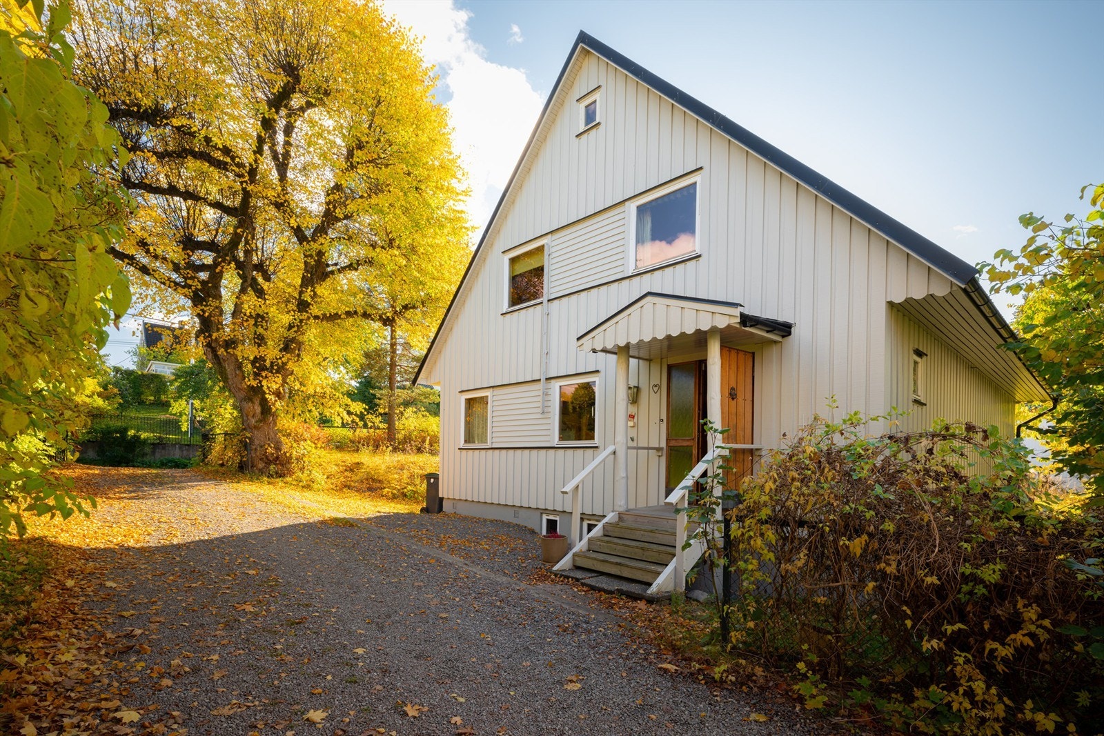 Fasade. Galleribilde