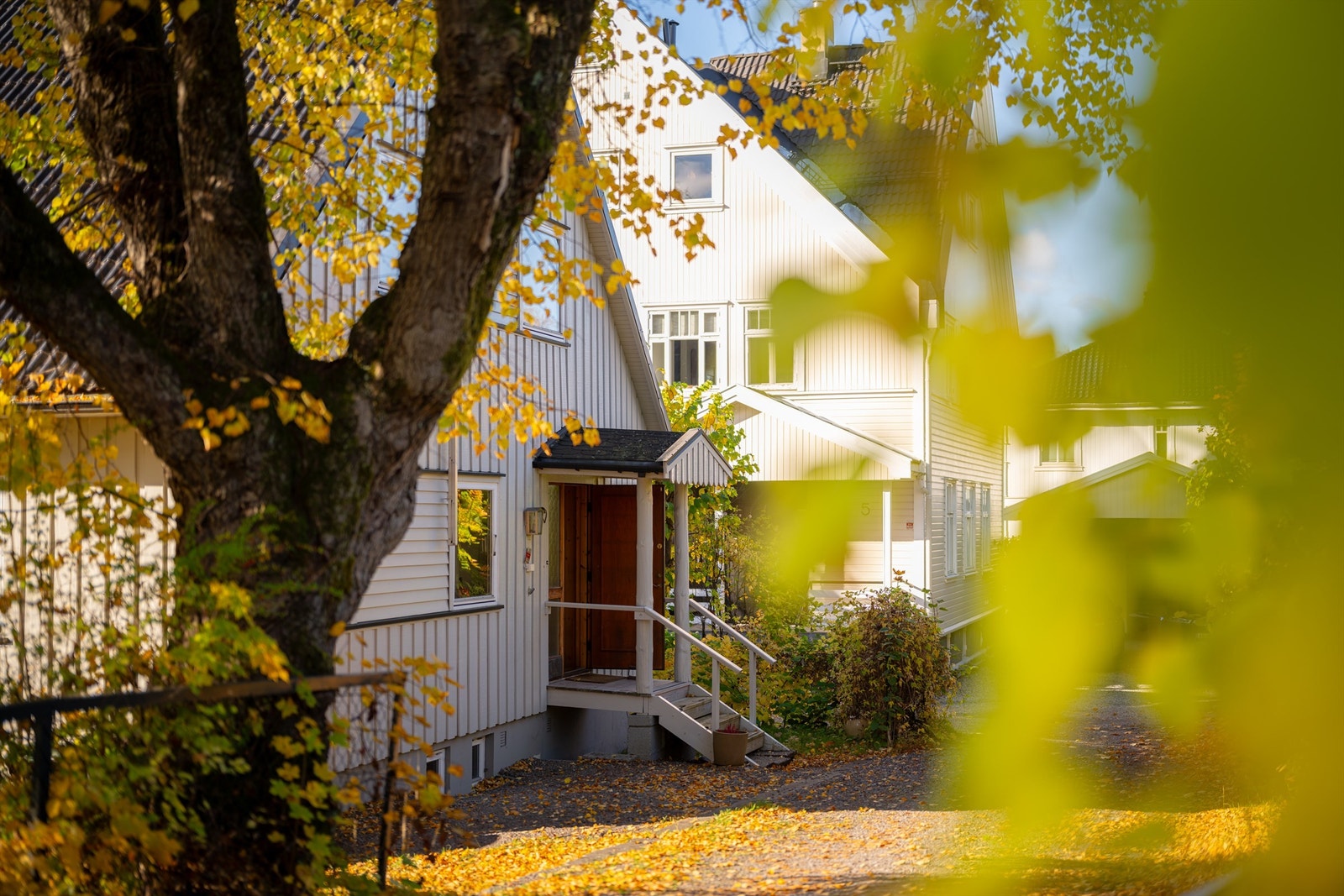 Velkommen til visning! Galleribilde