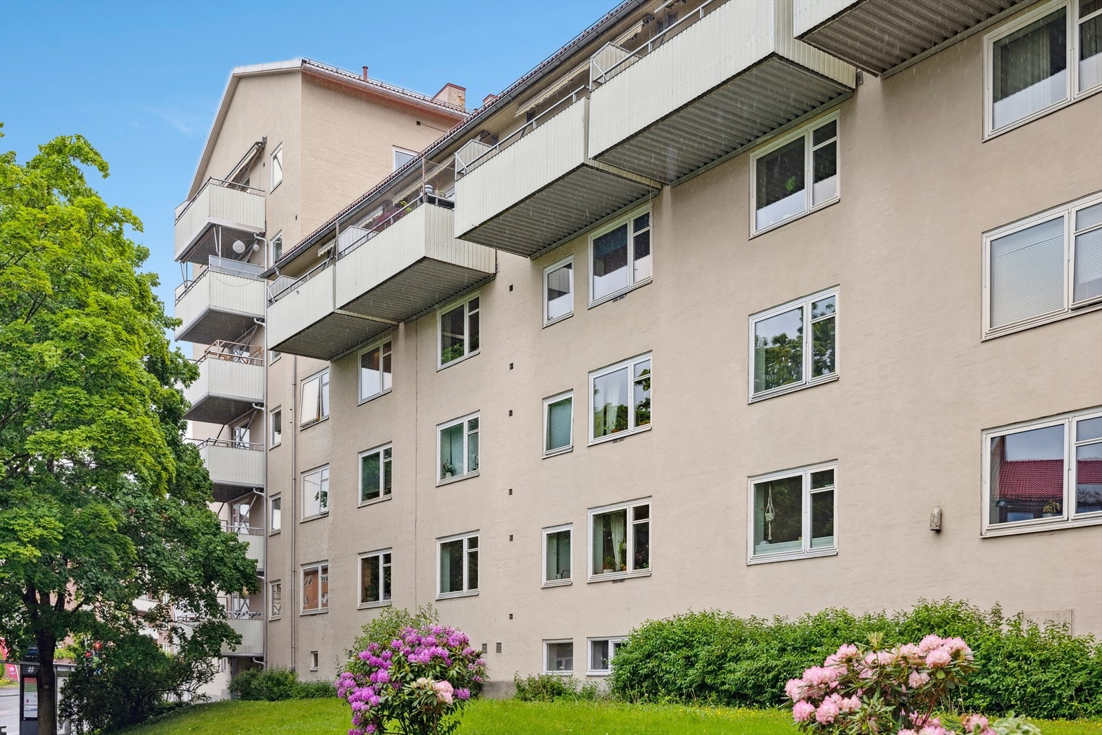 Velkommen til hyggelig visning! Galleribilde