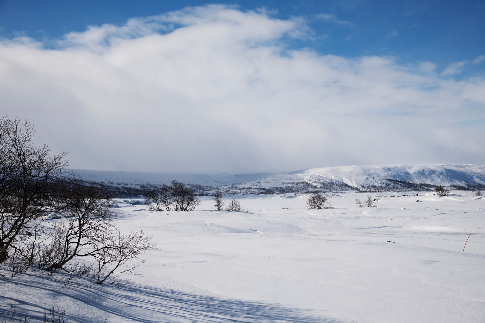 Her kan man enkelt legge ut på lange turer i et variert og urørt landskap Galleribilde
