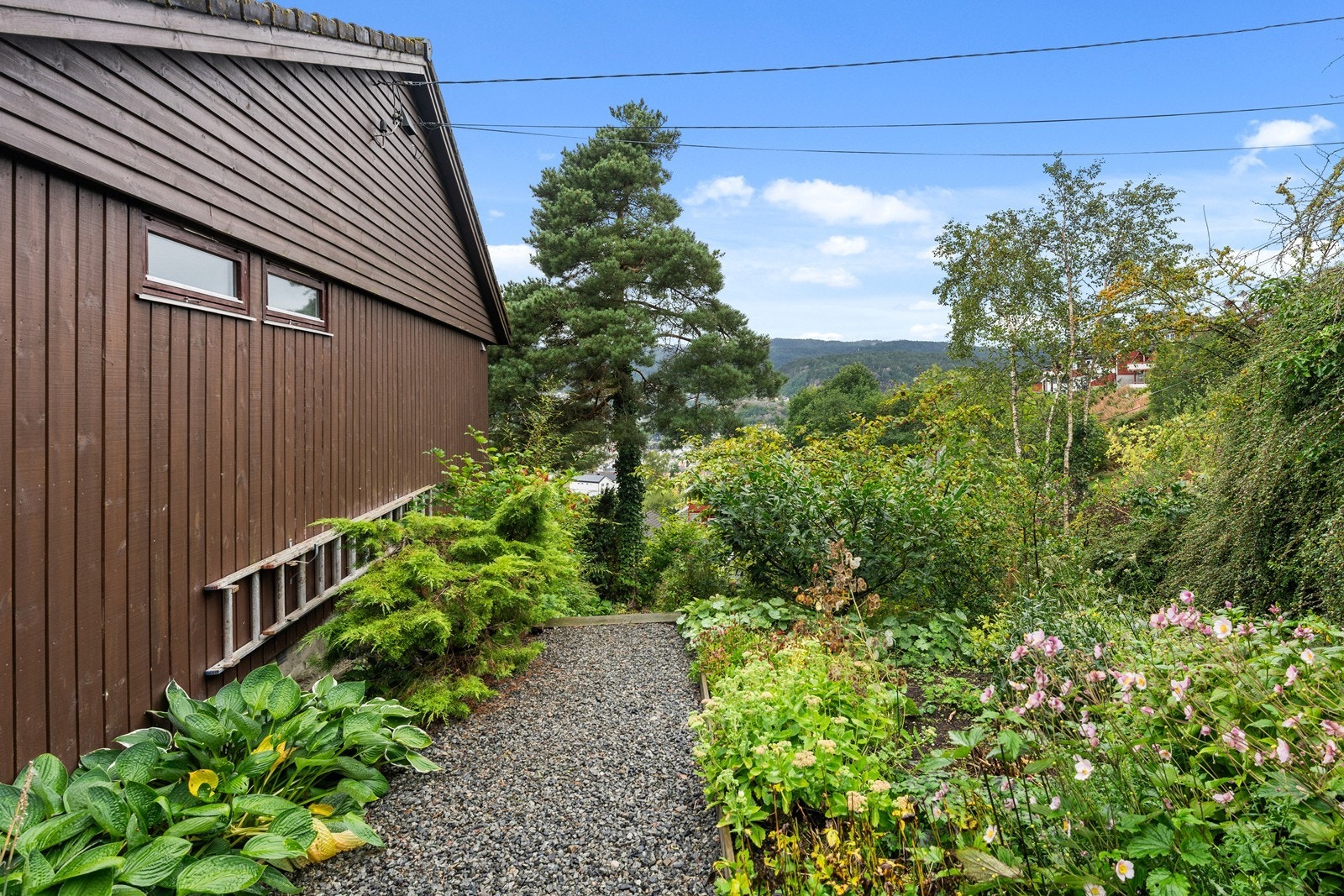 Usjenert hage som er pent opparbeidet. Galleribilde